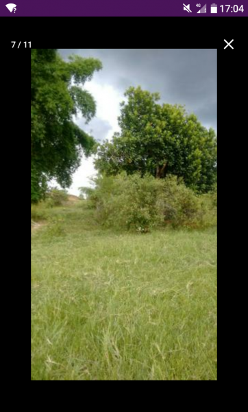 Sítio à venda Sambaetiba com 80m² e 1 quarto por R$ 600.000 - 412515750-capture-2019-08-07-17-04-12.png