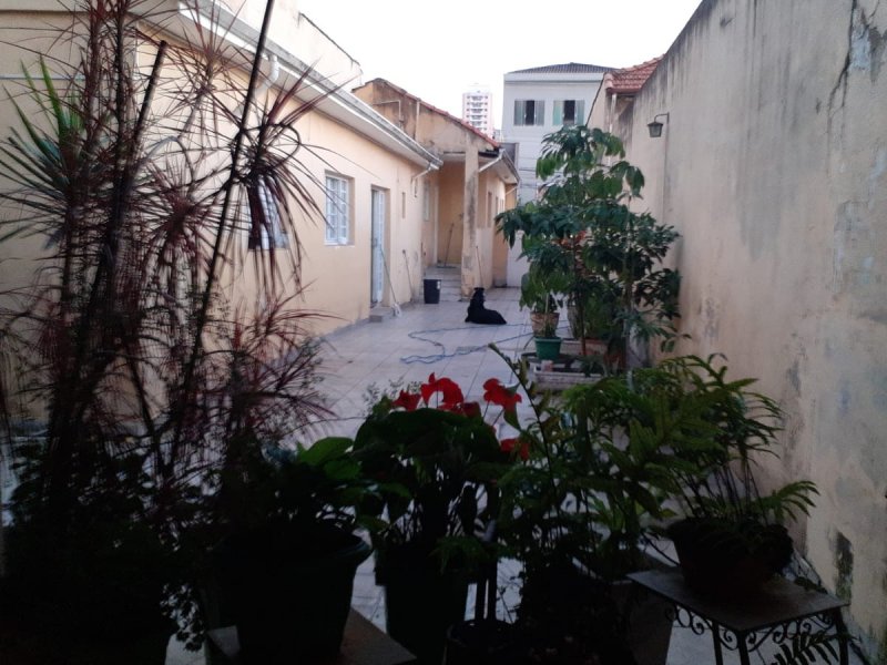 Casa à venda Quarta Parada com 320m² e 3 quartos por R$ 2.100.000 - 1184660884-img-20220720-wa0046.jpg