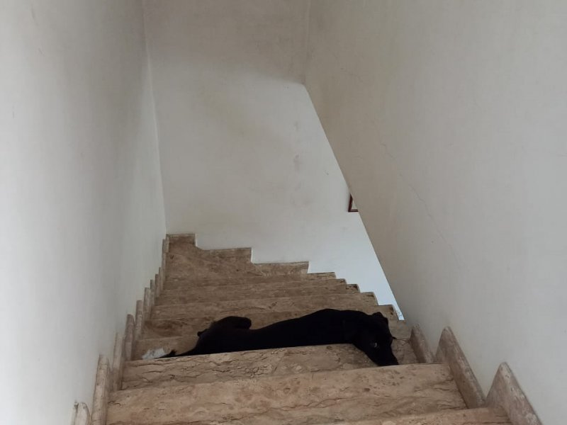 Casa à venda Jardim Rio Branco com 210m² e 3 quartos por R$ 420.000 - 2135685499-img-20220220-wa0038.jpg