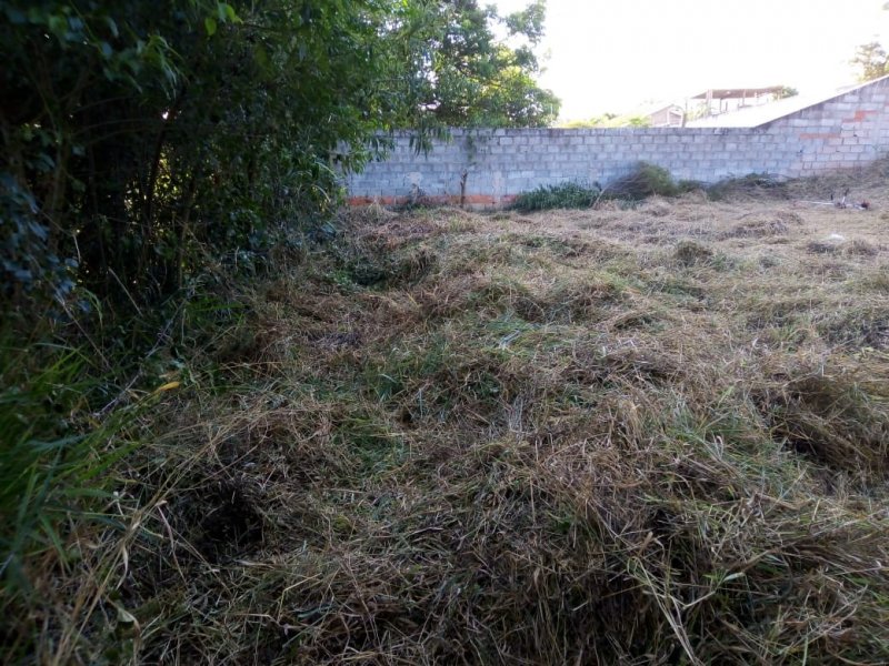 Terreno à venda Roseira com 1000m² e 1 quarto por R$ 350.000 - 1518590952-b1a0c33d-9f36-457c-95c2-e71bd7645467.jpeg