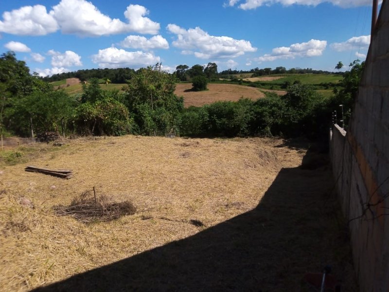 Terreno à venda Roseira com 1000m² e 1 quarto por R$ 350.000 - 1775670381-8ad01435-d85c-4b14-83a5-87067936e1e4.jpeg