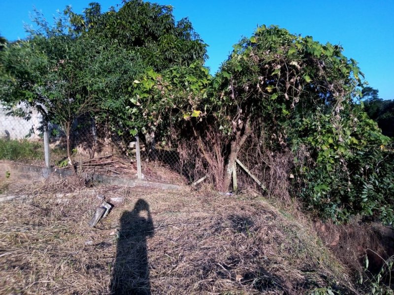Terreno à venda Roseira com 1000m² e 1 quarto por R$ 350.000 - 403931634-4d6f64b7-aeca-4230-9b5e-be01b24bc885.jpeg