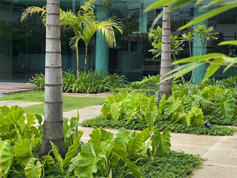 Casa à venda Catalão com 960m² e 4 quartos por R$ 2.750.000 - 1022633655-992ae134-7552-4902-af7a-74b14ccf4ba9.jpeg