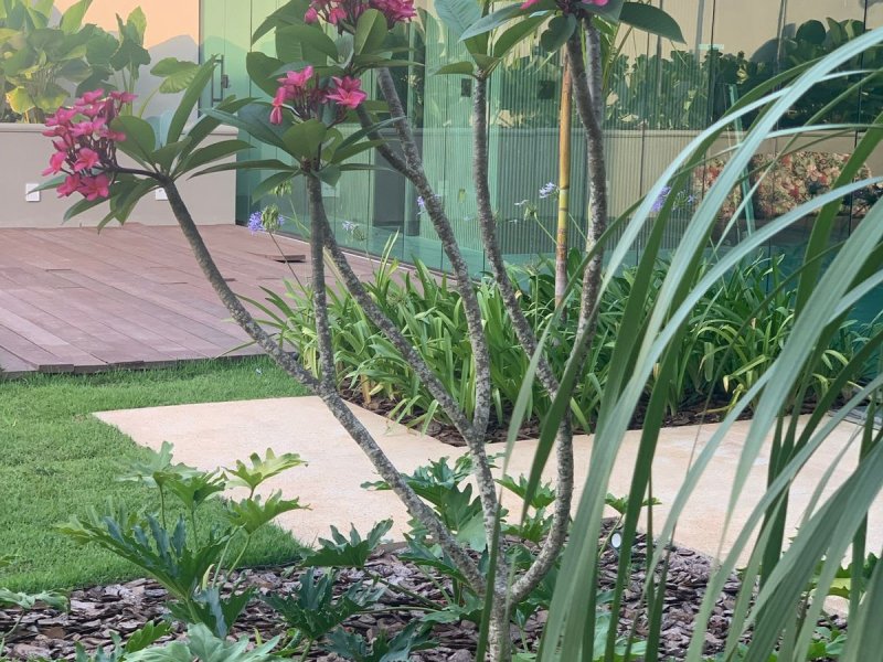 Casa à venda Catalão com 960m² e 4 quartos por R$ 2.750.000 - 1264223337-3ecb3449-9012-45a0-87f3-d53f324ba9f6.jpeg