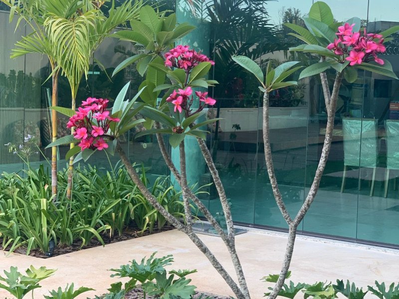 Casa à venda Catalão com 960m² e 4 quartos por R$ 2.750.000 - 1448053084-85cca2af-25f4-4a27-8559-cd1ba9382b15.jpeg