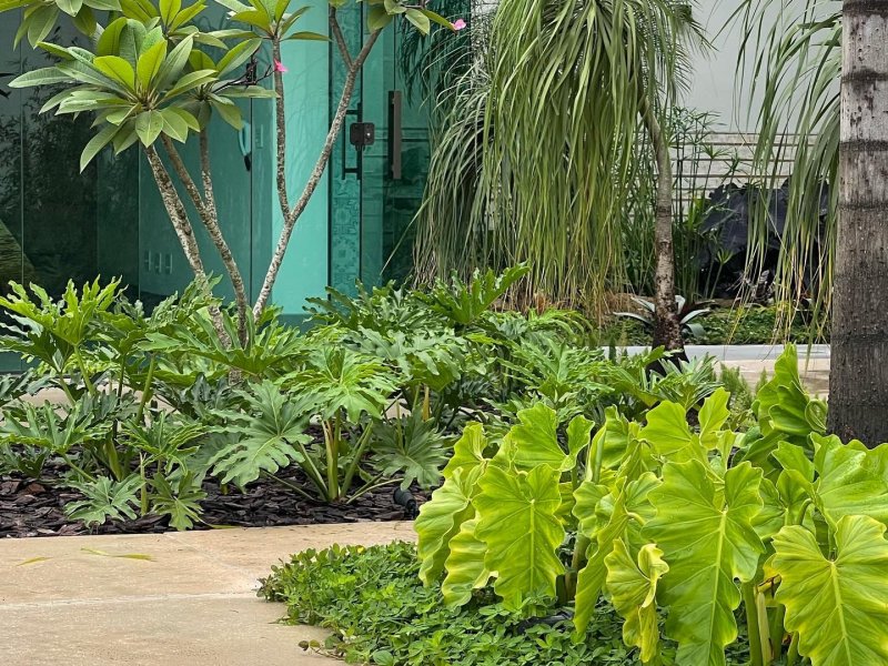 Casa à venda Catalão com 960m² e 4 quartos por R$ 2.750.000 - 1611348467-e33c8641-82fe-4347-af20-d9f7fda1b8cb.jpeg