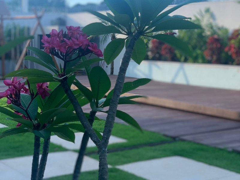 Casa à venda Catalão com 960m² e 4 quartos por R$ 2.750.000 - 1844947393-00fa08ed-a7bf-412c-b07e-9908e53edc04.jpeg