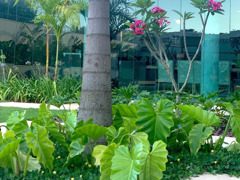 Casa à venda Catalão com 960m² e 4 quartos por R$ 2.750.000 - 278487115-163c0970-96dc-41eb-9a6e-96d0470f6626.jpeg