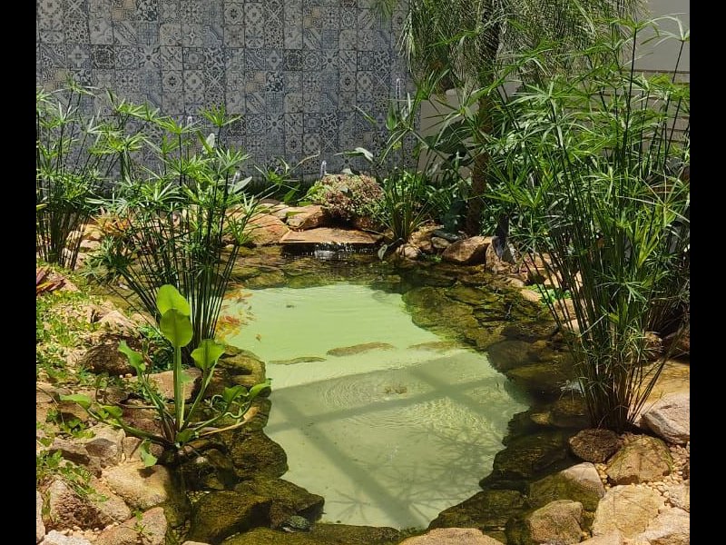 Casa à venda Catalão com 960m² e 4 quartos por R$ 2.750.000 - 444990284-e46b1220-473e-41d5-8a5f-a898f408ef31.jpeg