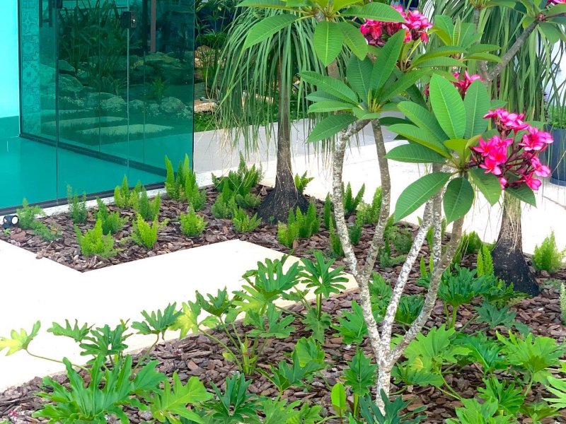 Casa à venda Catalão com 960m² e 4 quartos por R$ 2.750.000 - 473960625-c899ed3f-e33c-4d14-a757-e1f3376f6c07.jpeg