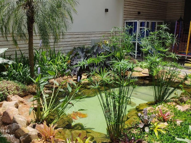 Casa à venda Catalão com 960m² e 4 quartos por R$ 2.750.000 - 502920750-6079045a-b306-49d2-93fa-f6bf2dccd2e1.jpeg