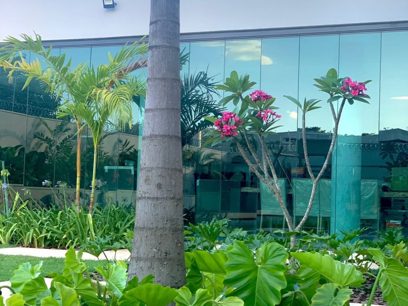 Casa à venda Catalão com 960m² e 4 quartos por R$ 2.750.000 - 667246317-6b051a2a-cb74-4d9b-95a7-f2237542afa3.jpeg