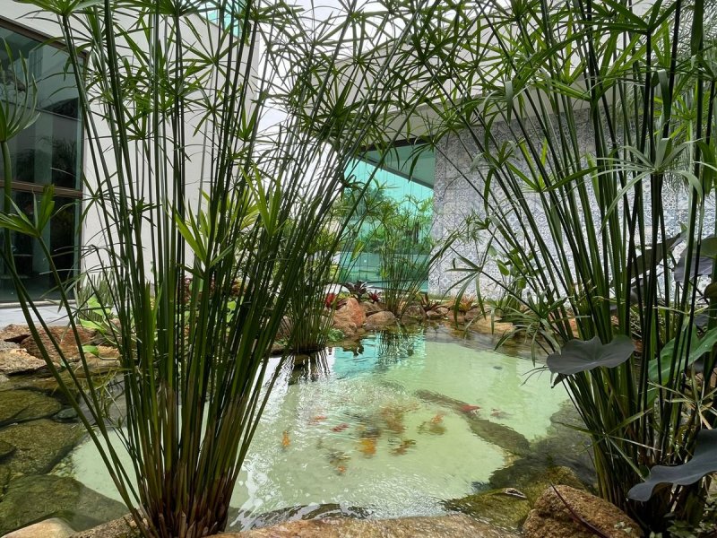 Casa à venda Catalão com 960m² e 4 quartos por R$ 2.750.000 - 720055313-9b0653ac-4b98-4176-8cd8-c98addb9de7f.jpeg