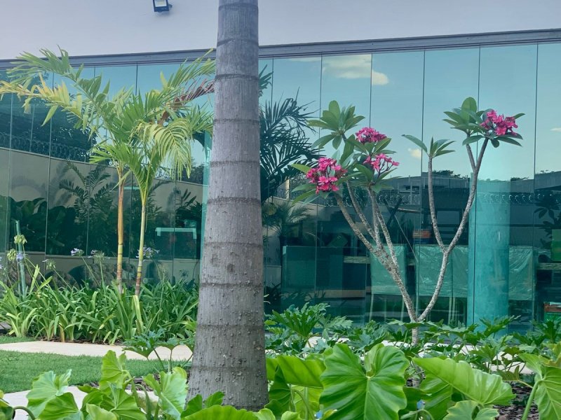 Casa à venda Catalão com 960m² e 4 quartos por R$ 2.750.000 - 731821347-c4cb8d25-ebbf-4edf-ab2f-94a476189b3e.jpeg