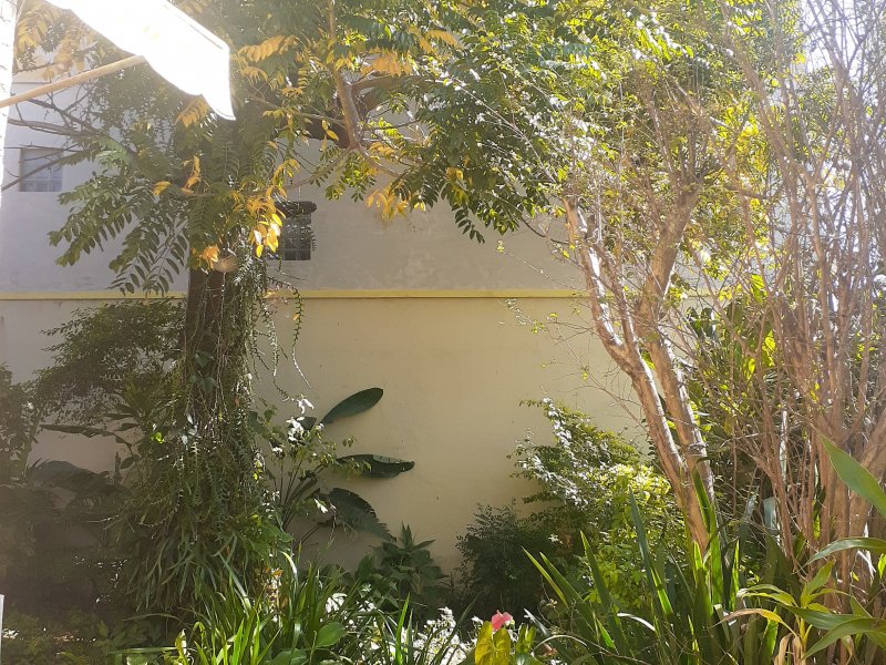 Casa à venda Trindade com 390m² e 4 quartos por R$ 700.000 - 785942527-20220710-111927.jpg