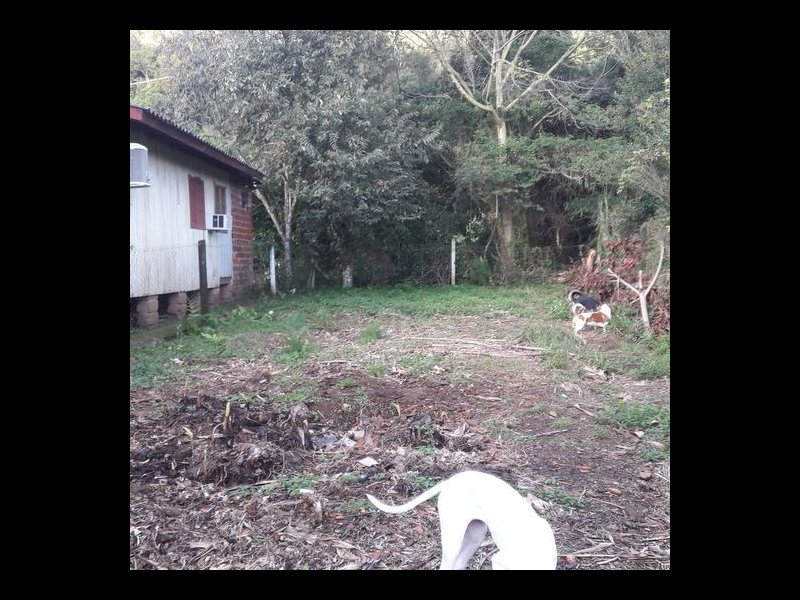 Casa à venda Vila Nova com 255m² e 1 quarto por R$ 149.000 - 1794018815-237284554-4449997545040155-4866193190302277905-n.jpg