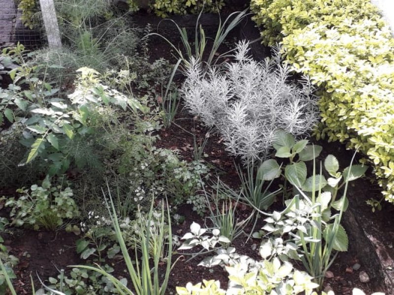 Apartamento à venda Bosque da Saúde com 60m² e 2 quartos por R$ 325.000 - 1758055619-whatsapp-image-2022-06-30-at-16.jpeg