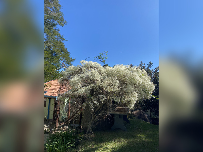 Casa de condomínio à venda Chácara das Nações  com 2000m² e 5 quartos por R$ 800.000 - fe9011d3-254d-412c-8475-22191ee77e68.jpeg