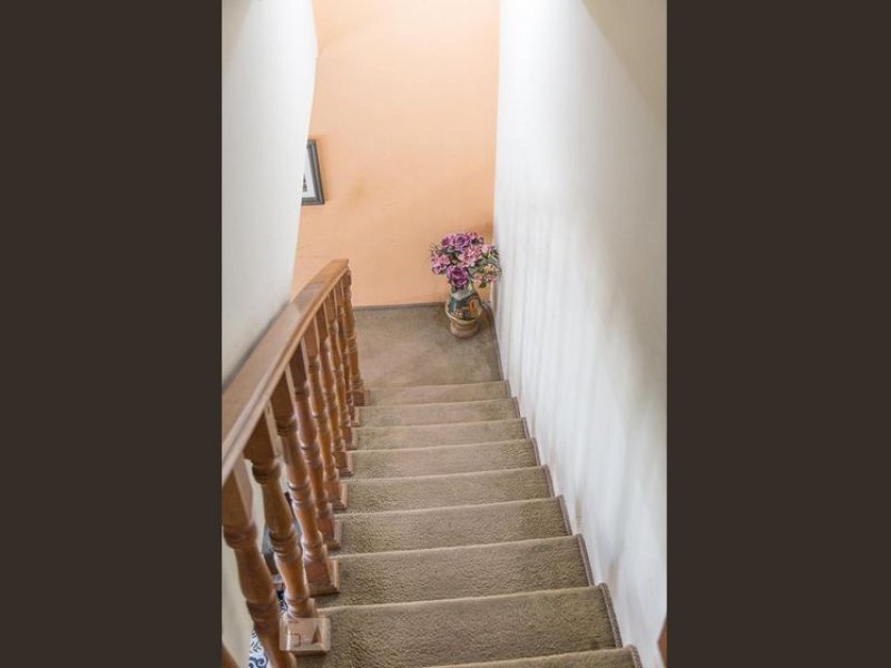 Casa à venda Vila Matilde com 492m² e 3 quartos por R$ 2.300.000 - 874360987-893562616-158.jpg