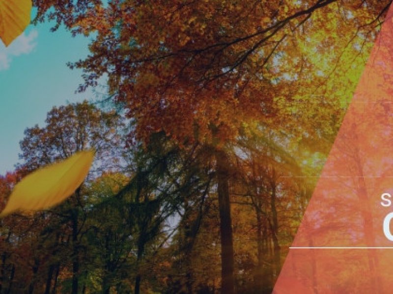 Casa à venda Parque Pinheiros com 150m² e 4 quartos por R$ 40.000.000 - 843865963-banner-outono-capa-do-facebook.jpeg