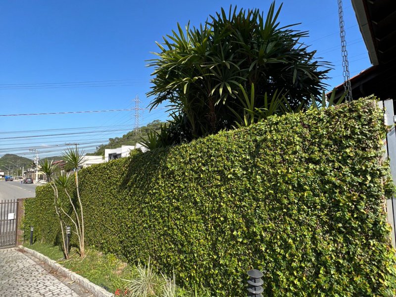 Casa à venda Nova Brasília com 800m² e 4 quartos por R$ 750.000 - 1174670184-whatsapp-image-2022-07-25-at-19.jpeg