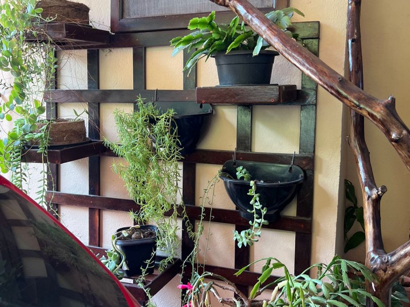 Casa à venda Nova Brasília com 800m² e 4 quartos por R$ 750.000 - 1348585363-whatsapp-image-2022-07-25-at-19.jpeg