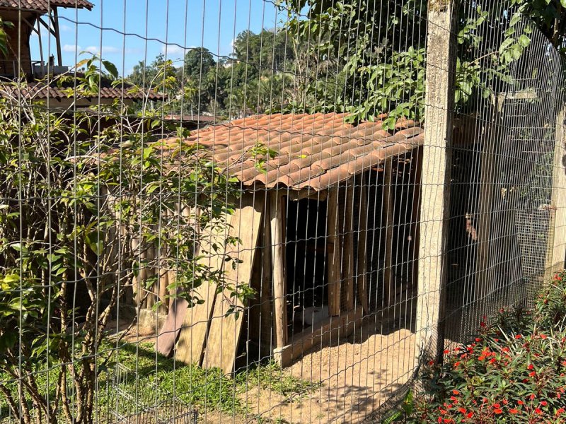 Casa à venda Nova Brasília com 800m² e 4 quartos por R$ 750.000 - 304278833-whatsapp-image-2022-07-25-at-19.jpeg