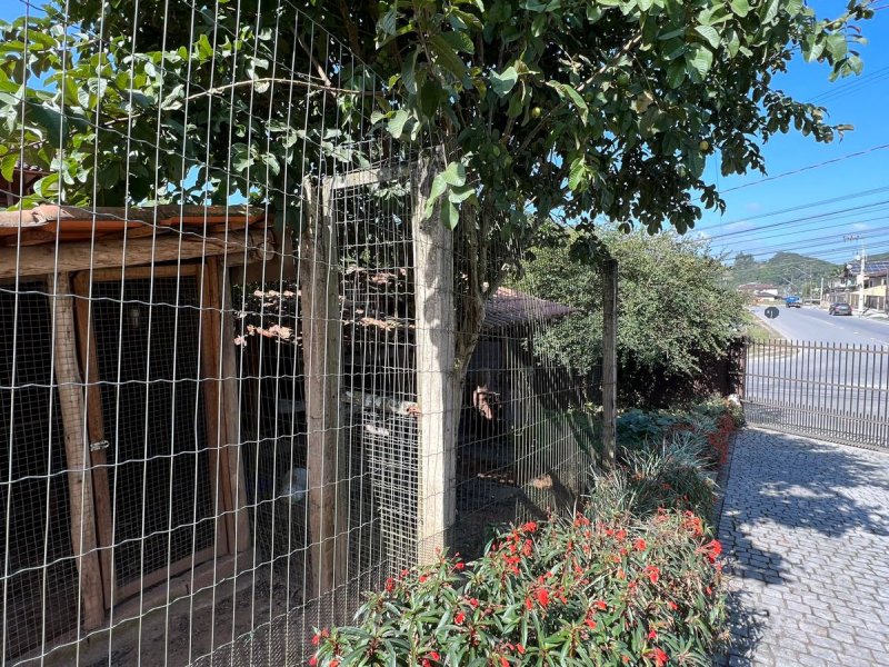 Casa à venda Nova Brasília com 800m² e 4 quartos por R$ 750.000 - 676191445-whatsapp-image-2022-07-25-at-19.jpeg