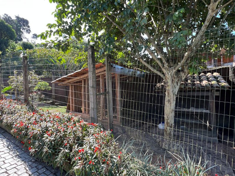 Casa à venda Nova Brasília com 800m² e 4 quartos por R$ 750.000 - 754117989-whatsapp-image-2022-07-25-at-19.jpeg