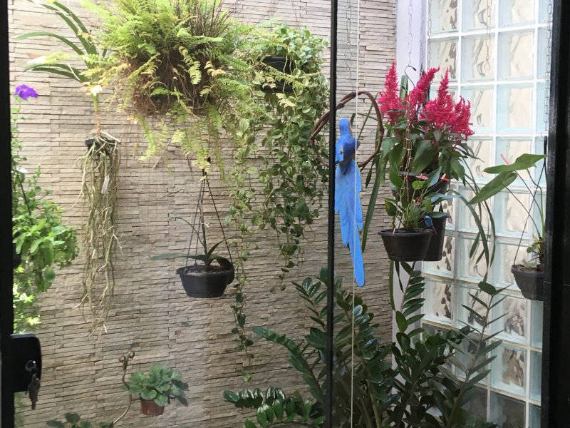 Casa à venda Atlântica com 112m² e 2 quartos por R$ 327.000 - 437319833-jardim-de-inverno.JPG