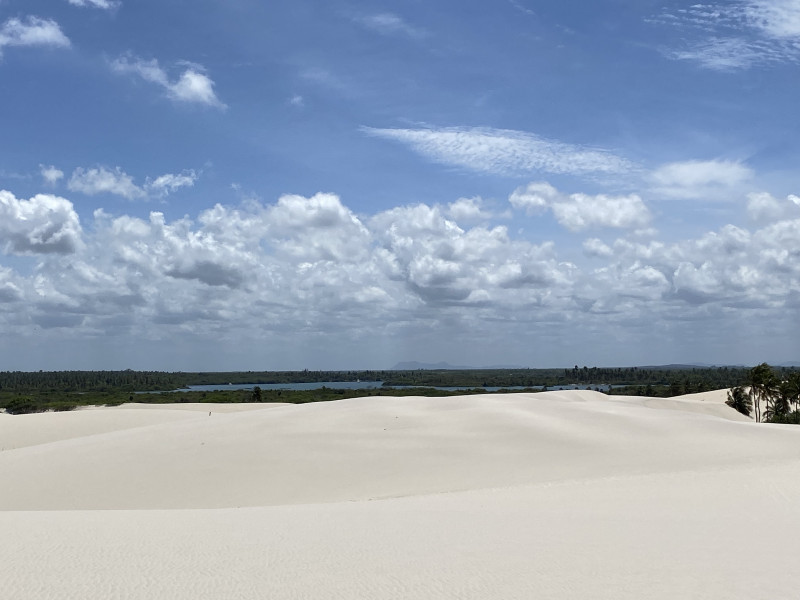 Terreno à venda Conjunto Habitacional Brigadeiro Faria Lima com 247m² e 1 quarto por R$ 350.000 - 1619061501-barrinha15.jpeg