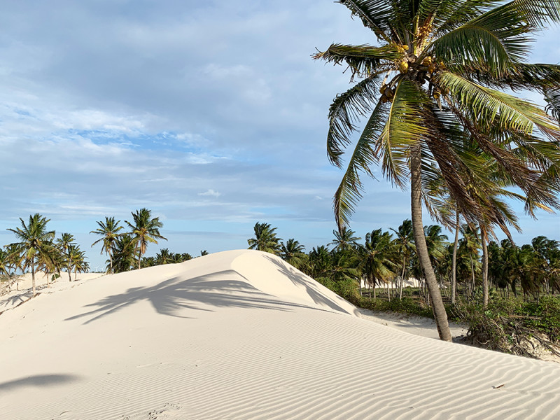 Terreno à venda Conjunto Habitacional Brigadeiro Faria Lima com 247m² e 1 quarto por R$ 350.000 - 660207340-barrinha18.jpg