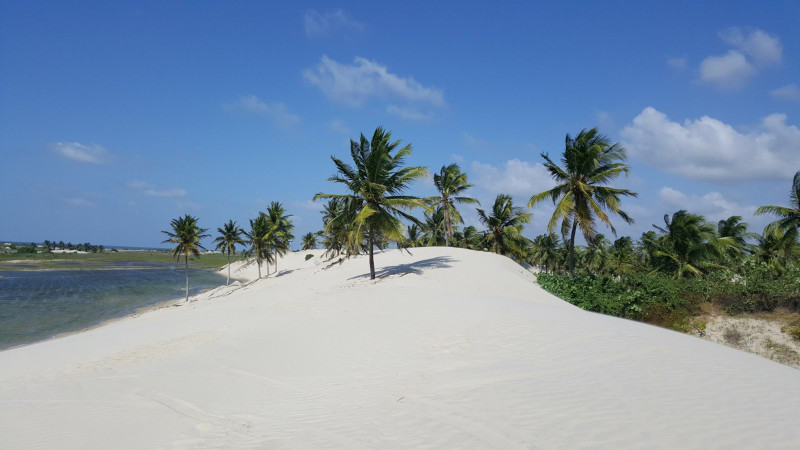 Terreno à venda Conjunto Habitacional Brigadeiro Faria Lima com 247m² e 1 quarto por R$ 350.000 - 728536583-barrinha16.jpg