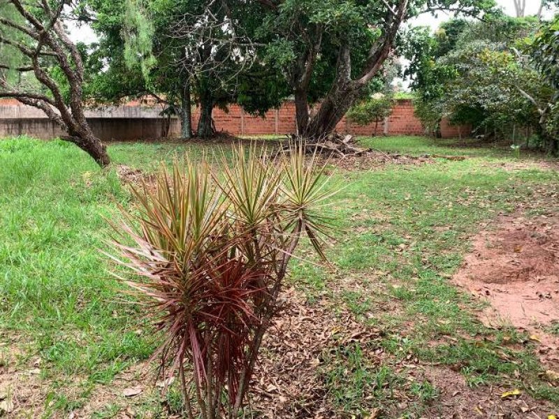 Chácara à venda Chácara das Mansões com 5000m² e 7 quartos por R$ 1.280.000 - 1331112884-description-10.jpg