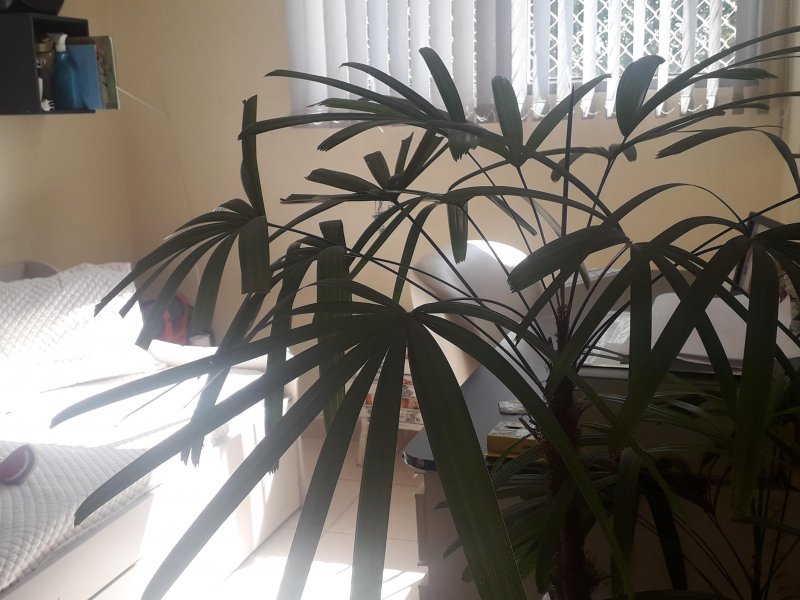 Cobertura à venda Jardim Eulália com 147m² e 3 quartos por R$ 350.000 - 768498737-20220419-134121.jpg