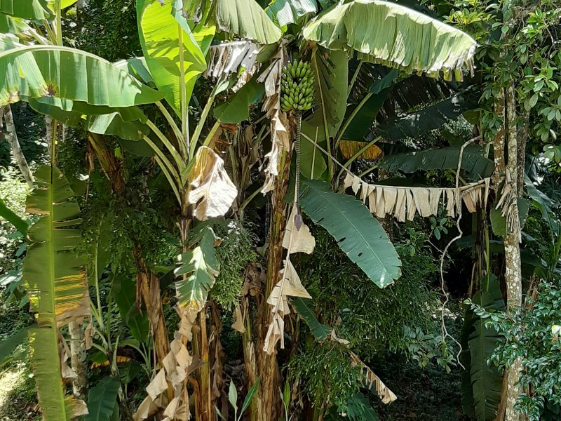 Apartamento à venda Barra do Imbuí com 125m² e 3 quartos por R$ 695.000 - 1110258695-67.jpg