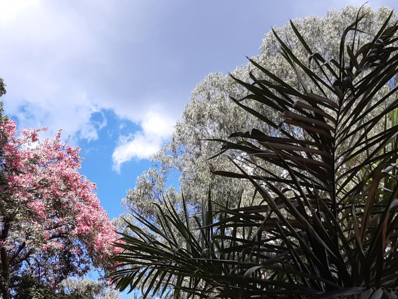 Apartamento à venda Barra do Imbuí com 125m² e 3 quartos por R$ 695.000 - 1139407485-69.jpg