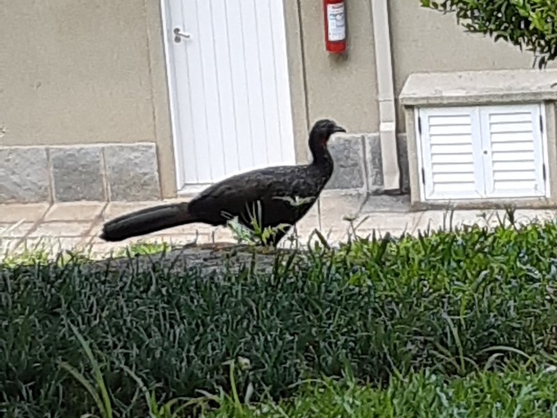 Apartamento à venda Barra do Imbuí com 125m² e 3 quartos por R$ 695.000 - 1232725701-64.jpg