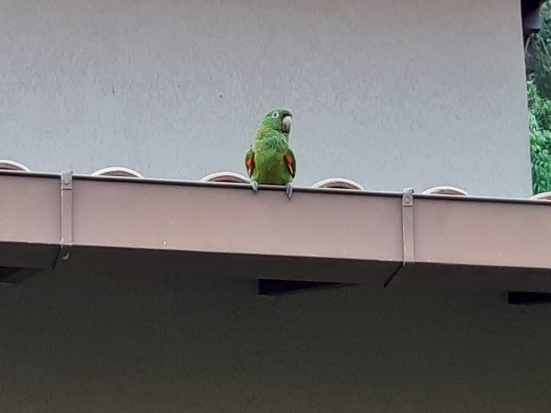 Apartamento à venda Barra do Imbuí com 125m² e 3 quartos por R$ 695.000 - 1445282907-57.jpg