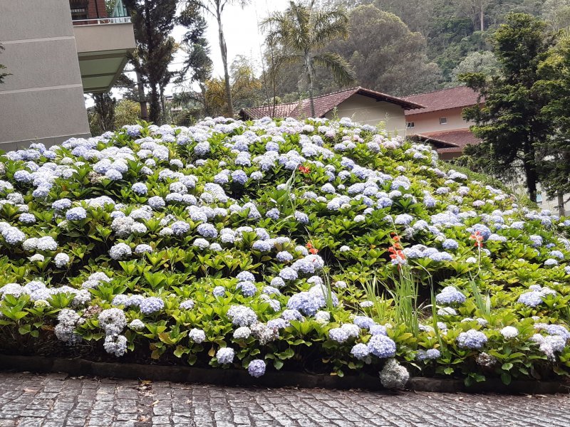 Apartamento à venda Barra do Imbuí com 125m² e 3 quartos por R$ 695.000 - 1447738198-70.jpg