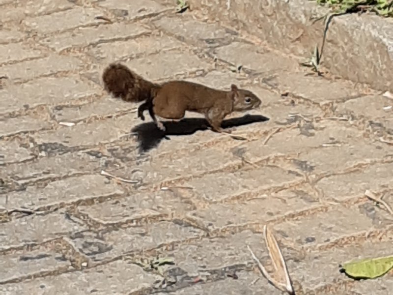 Apartamento à venda Barra do Imbuí com 125m² e 3 quartos por R$ 695.000 - 1945376822-63.jpg