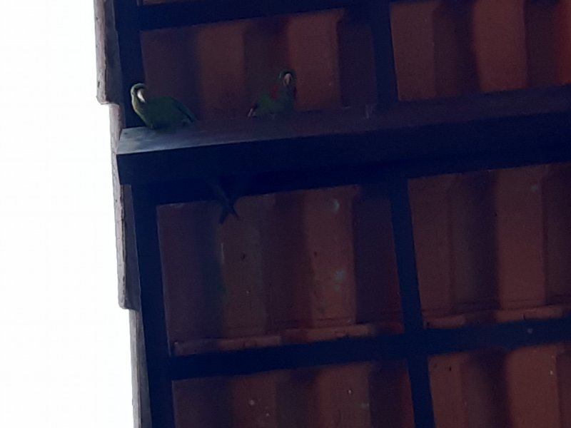 Apartamento à venda Barra do Imbuí com 125m² e 3 quartos por R$ 695.000 - 262501053-58.jpg