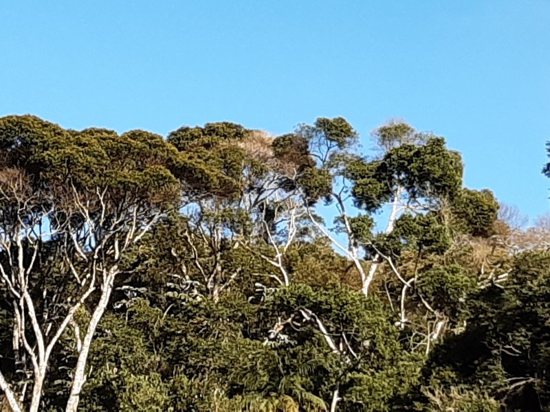 Apartamento à venda Barra do Imbuí com 125m² e 3 quartos por R$ 695.000 - 346210840-56.jpg