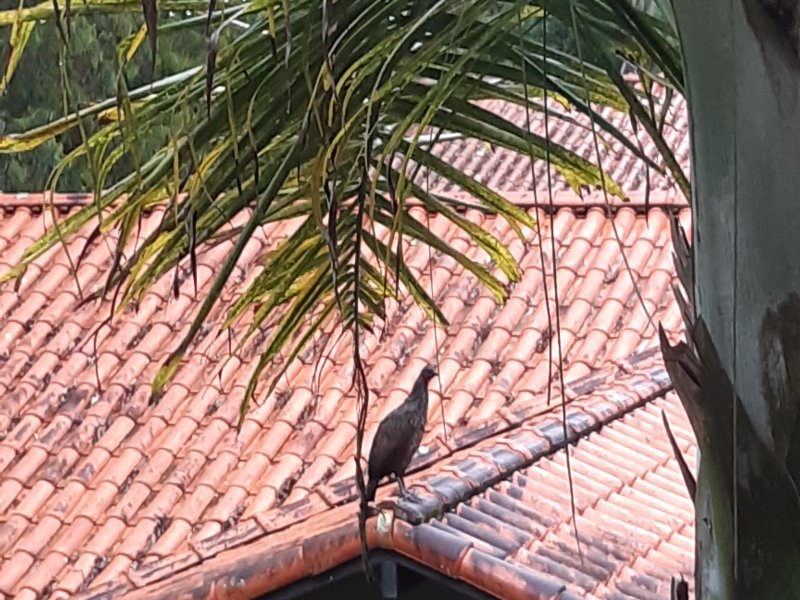 Apartamento à venda Barra do Imbuí com 125m² e 3 quartos por R$ 695.000 - 448780012-60.jpg