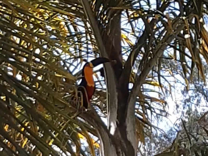 Apartamento à venda Barra do Imbuí com 125m² e 3 quartos por R$ 695.000 - 634643983-65.jpg