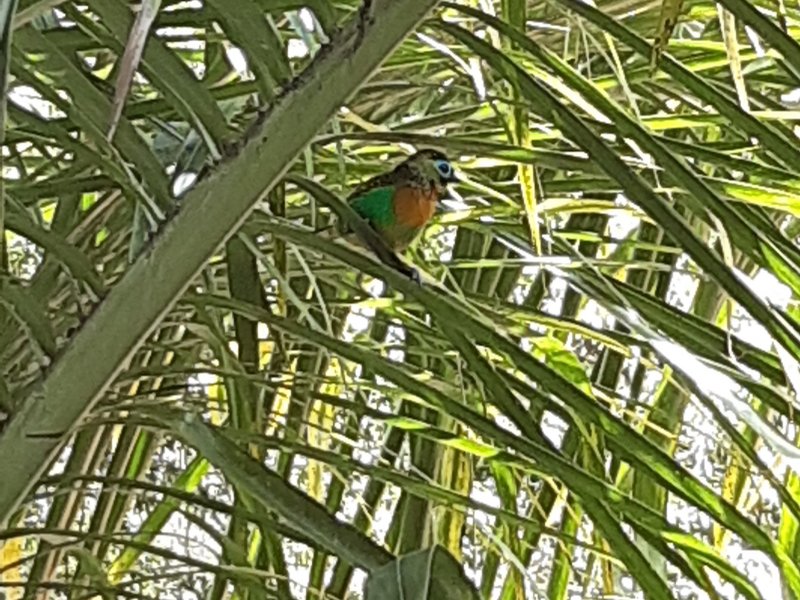 Apartamento à venda Barra do Imbuí com 125m² e 3 quartos por R$ 695.000 - 894187239-59.jpg