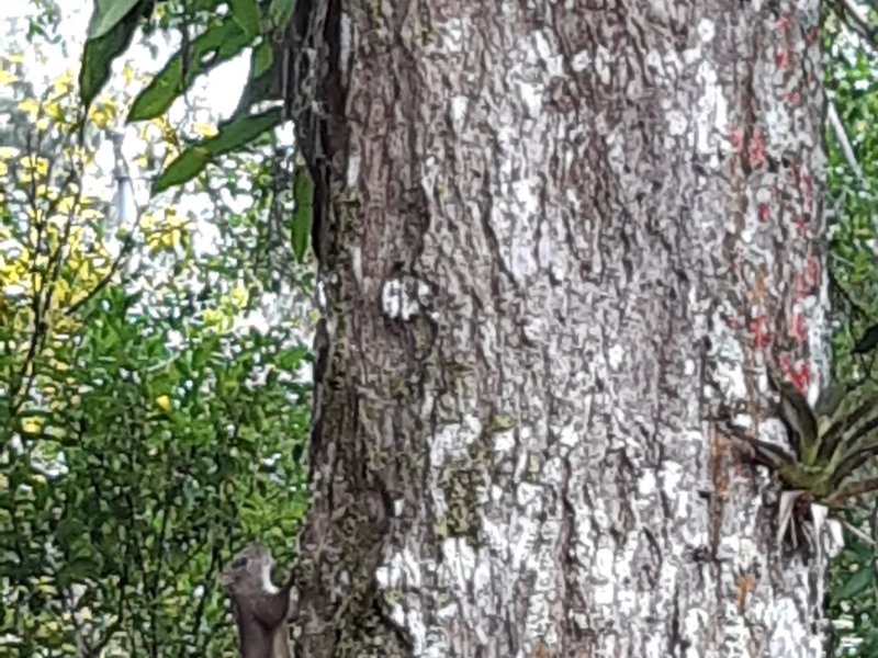 Apartamento à venda Barra do Imbuí com 125m² e 3 quartos por R$ 695.000 - 981452885-62.jpg