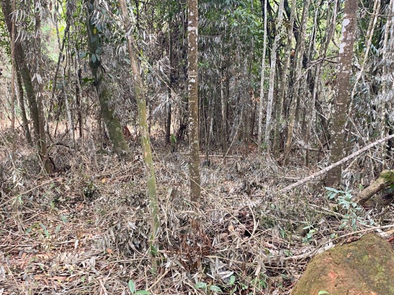 Terreno à venda Centro com 1640m² e 1 quarto por R$ 120.000 - 62792715-whatsapp-image-2022-04-26-at-12.jpeg