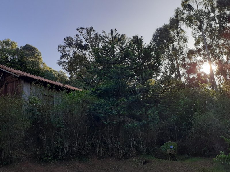 Sítio à venda Centro com 20660m² e 6 quartos por R$ 1.200.000 - 1230406194-segunda-casa.jpg