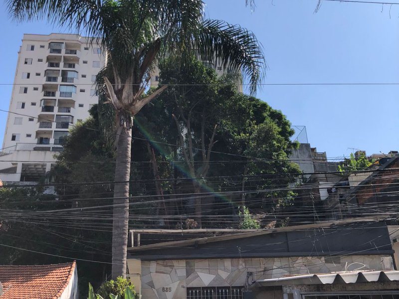 Casa à venda Vila Guilherme com 400m² e 3 quartos por R$ 700.000 - 1659992981-3344691b-a7ad-422d-9294-88a0456e54e8.jpg